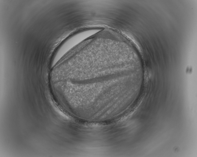 X0000090610533200708141353