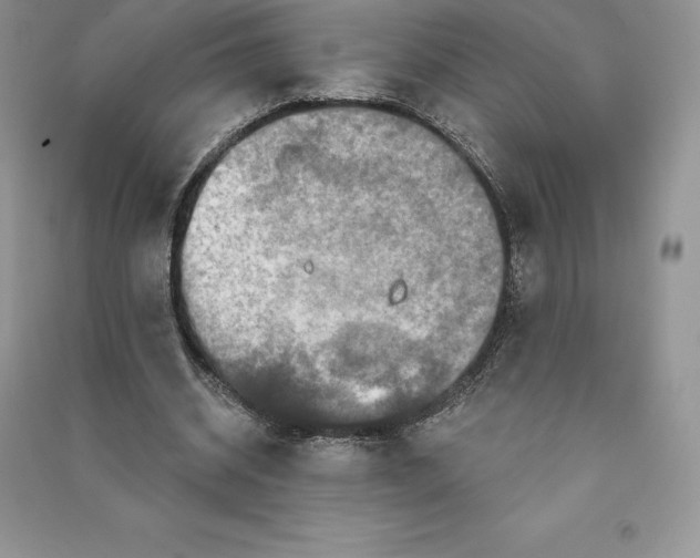 X0000090610534200708141353