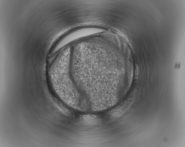 X0000090610535200708141353