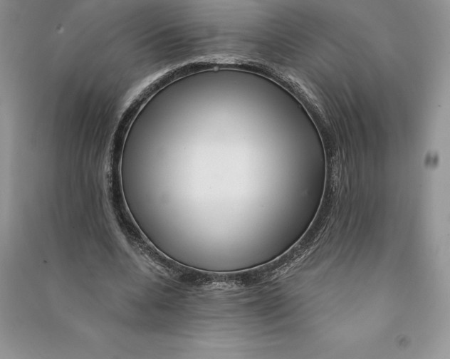 X0000090610536200708141353