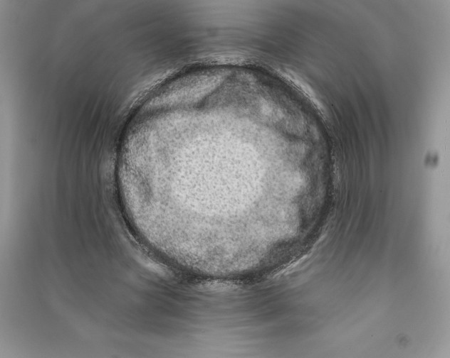 X0000090610537200708141353