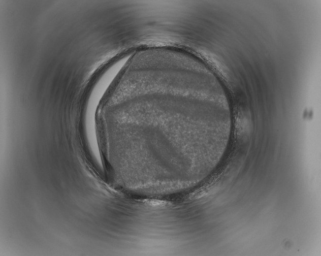 X0000090610539200708141353