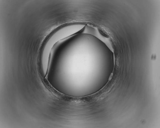 X0000090610540200708141353