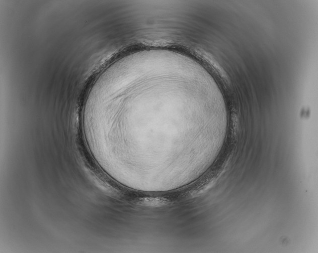 X0000090610541200708141353