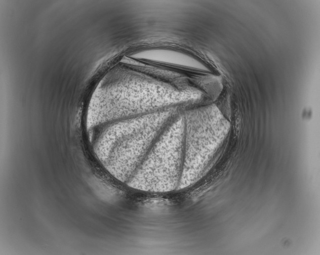 X0000090610543200708141353