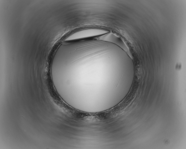 X0000090610544200708141353