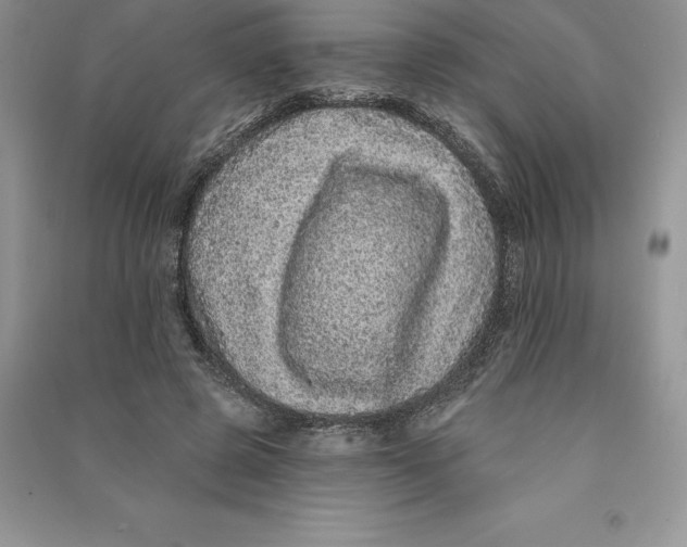 X0000090610545200708141353