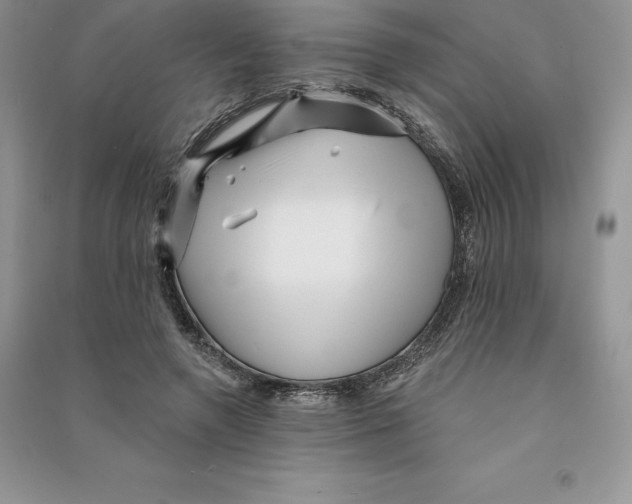 X0000090610546200708141353