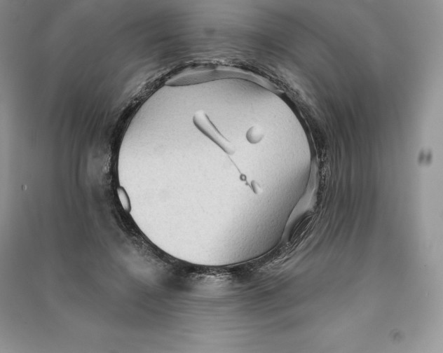 X0000090610548200708141353