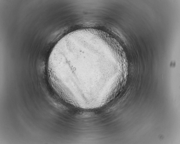 X0000090610549200708141353