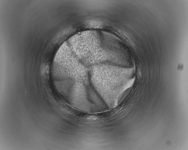 X0000090610551200708141353