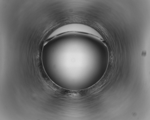 X0000090610552200708141353