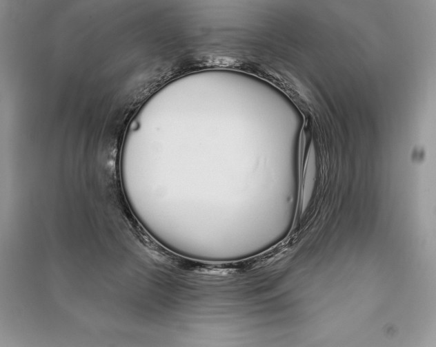 X0000090610553200708141353