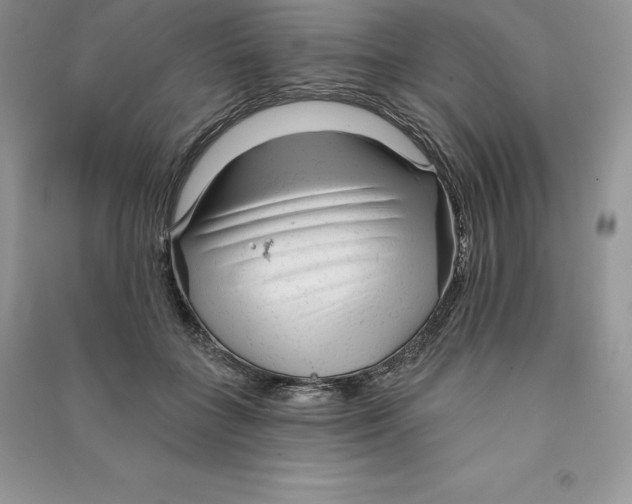 X0000090610555200708141353