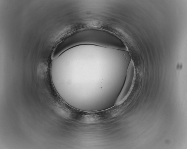 X0000090610556200708141353