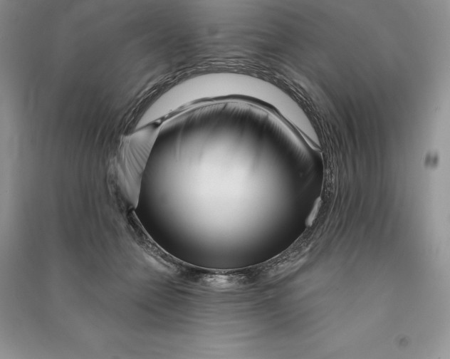 X0000090610558200708141353