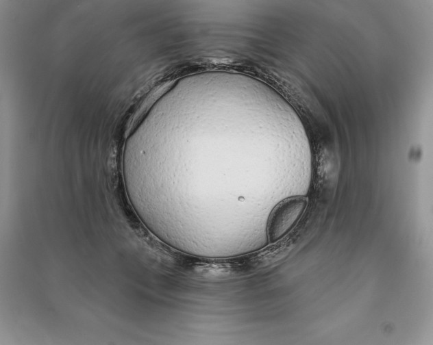 X0000090610559200708141353