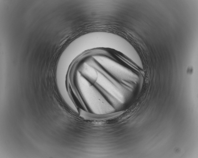 X0000090610560200708141353