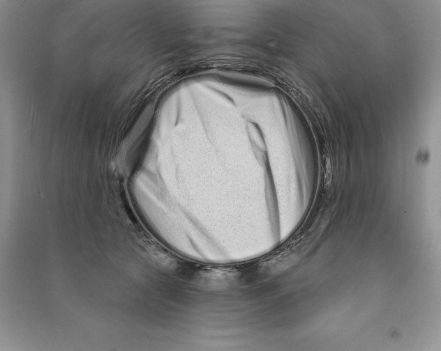 X0000090610561200708141353