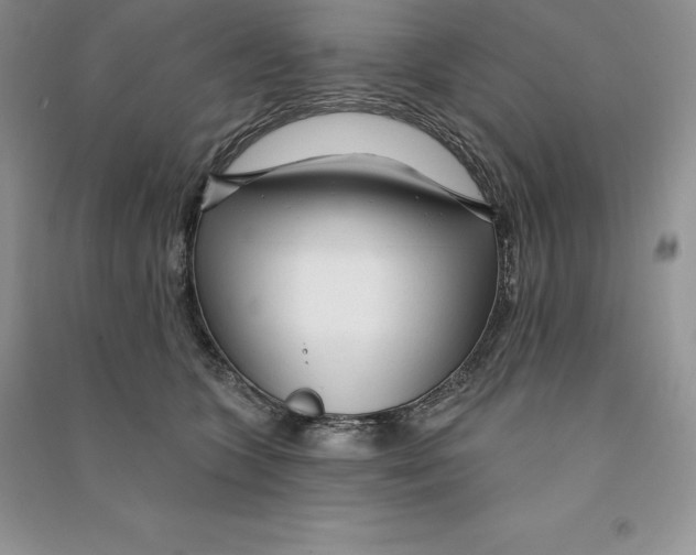 X0000090610563200708141353