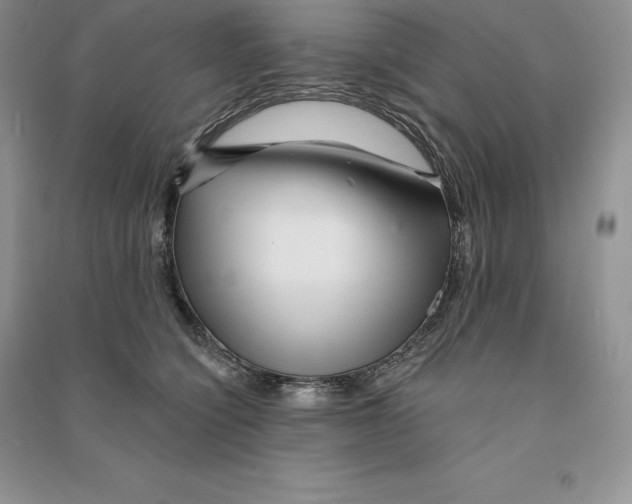 X0000090610564200708141354