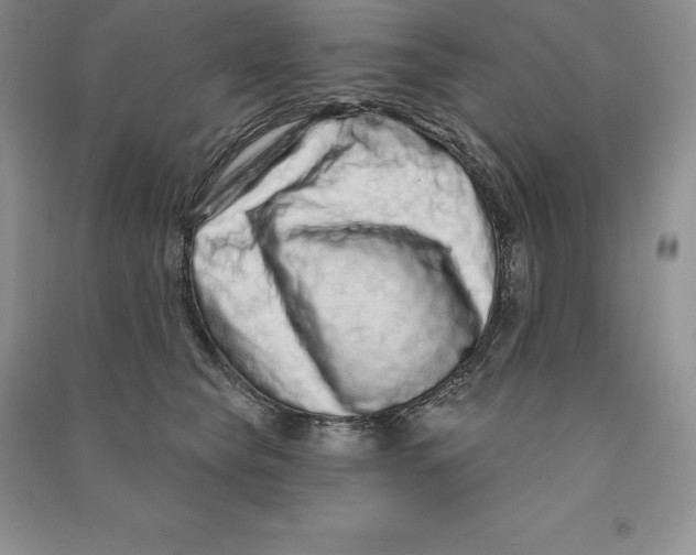 X0000090610565200708141354