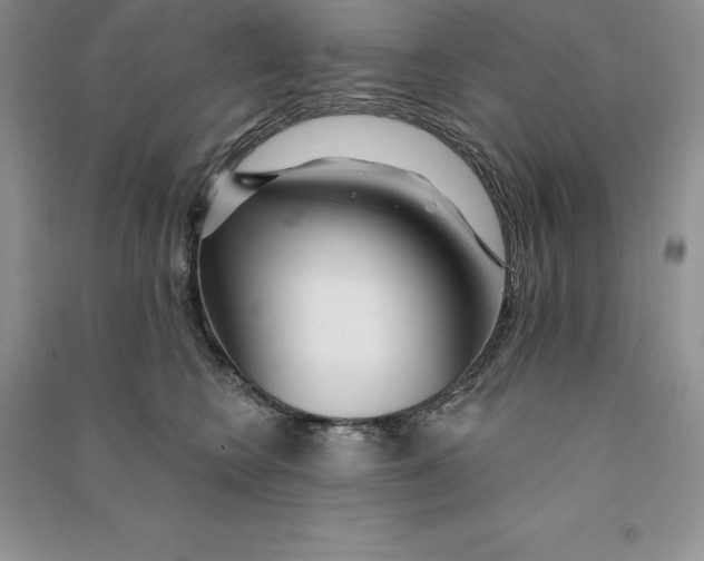 X0000090610566200708141354