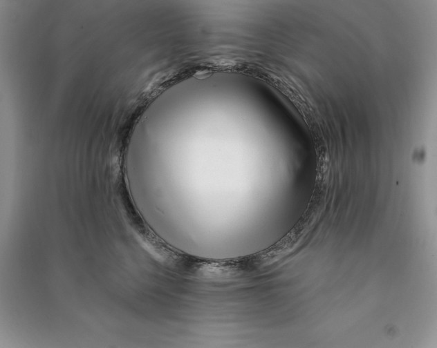 X0000090610568200708141354