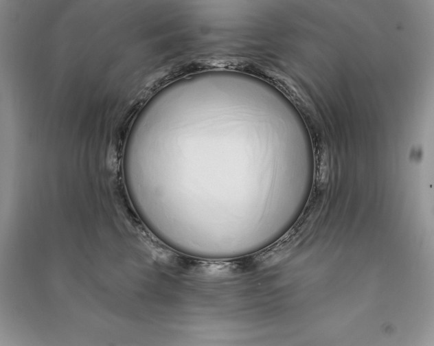 X0000090610569200708141354