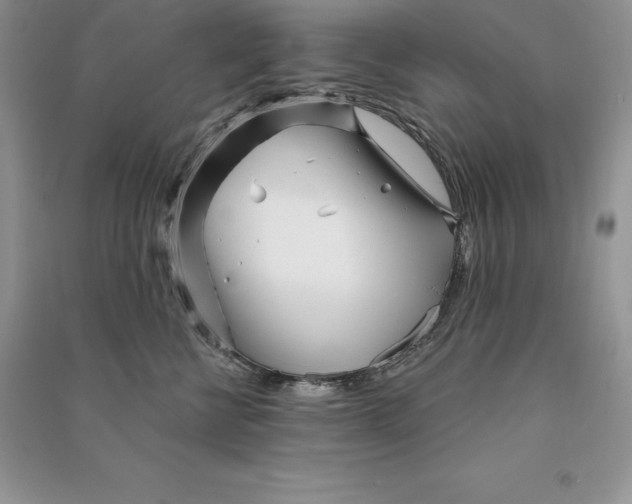 X0000090610570200708141354