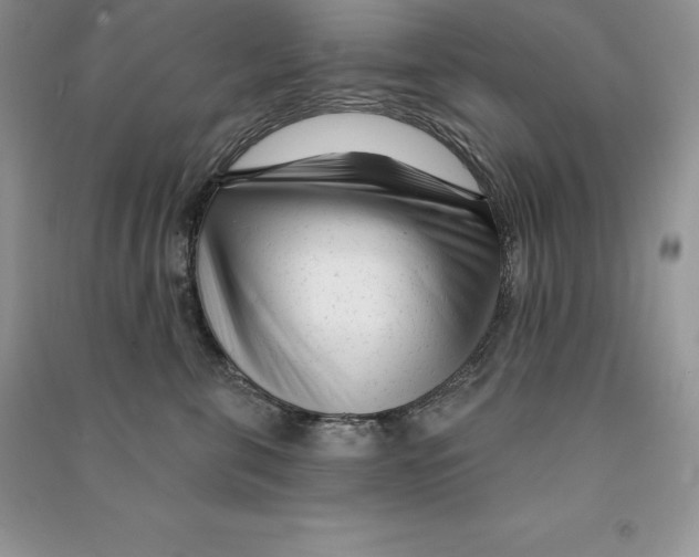 X0000090610571200708141354