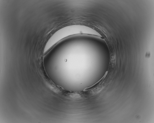 X0000090610572200708141354