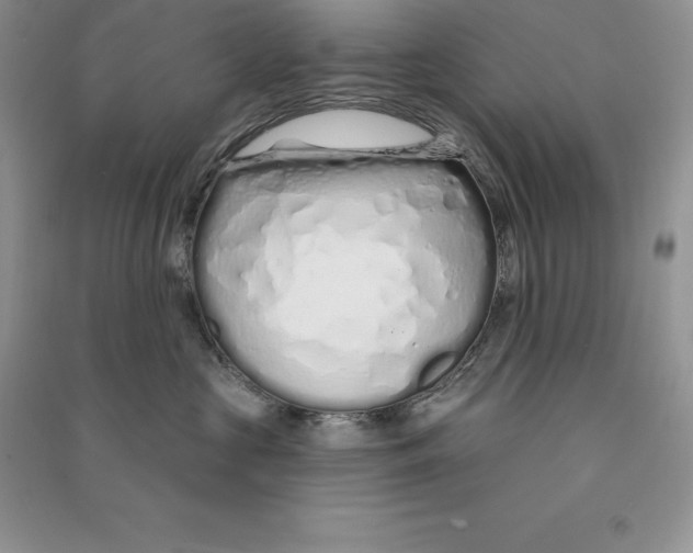 X0000090610573200708141354