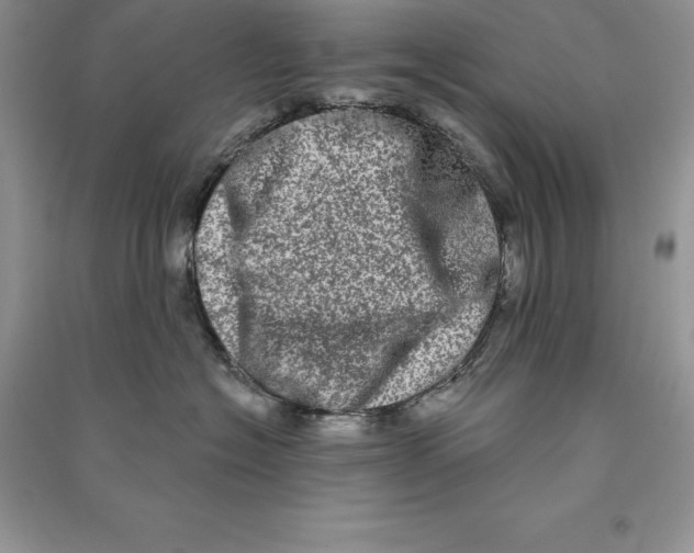 X0000090610574200708141354