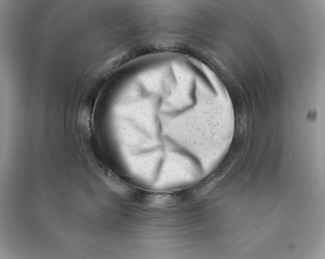 X0000090610575200708141354