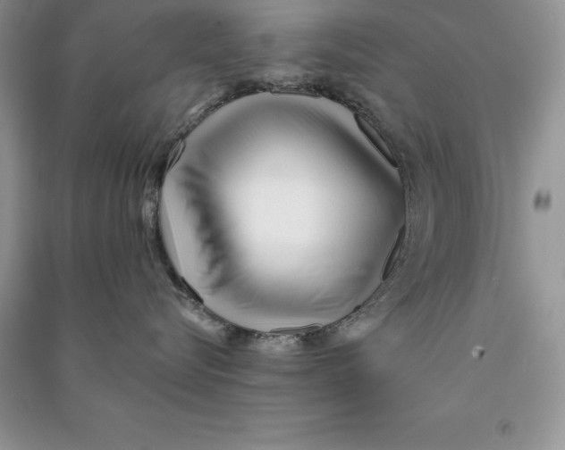 X0000090610576200708141354