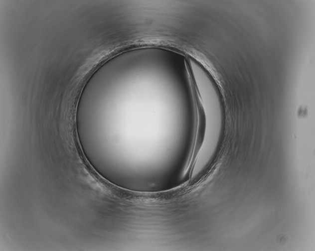 X0000090610577200708141353