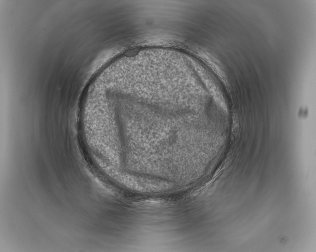 X0000090610578200708141353