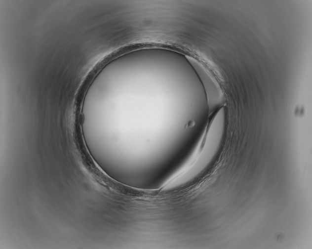 X0000090610580200708141353