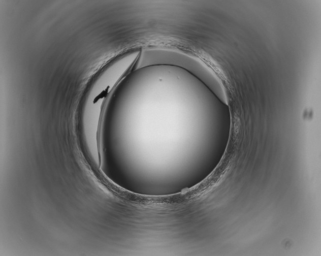 X0000090610581200708141353