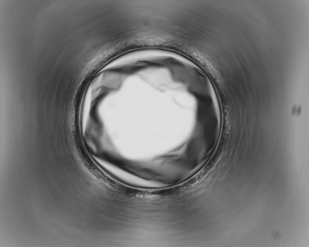 X0000090610582200708141353