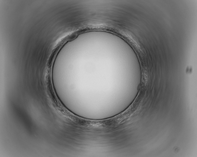 X0000090610583200708141353