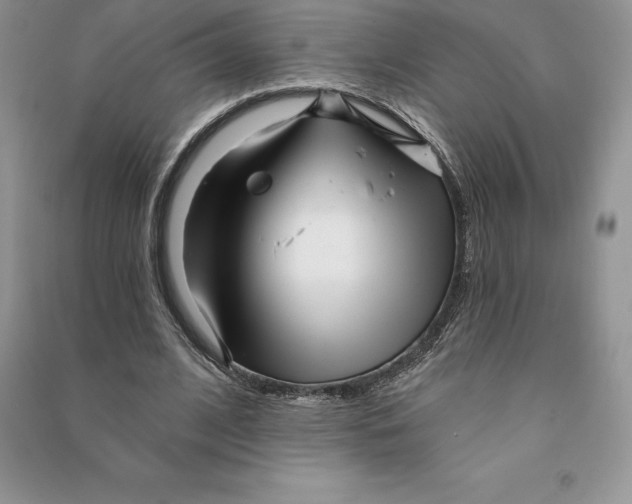 X0000090610584200708141353