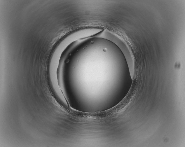 X0000090610585200708141353