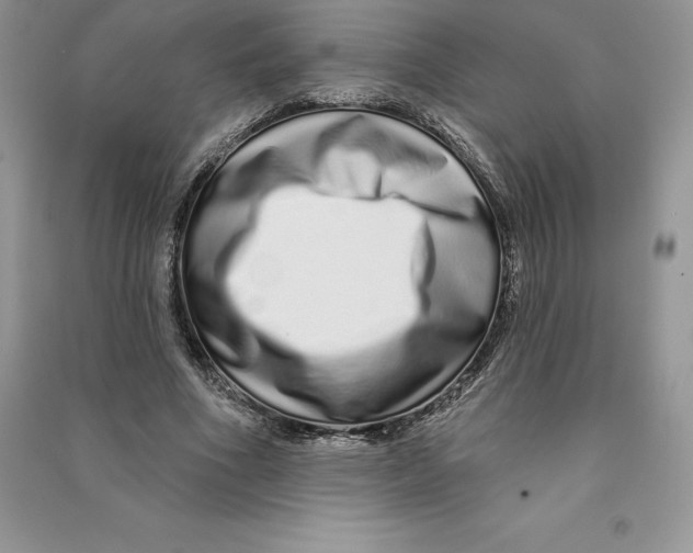 X0000090610586200708141353