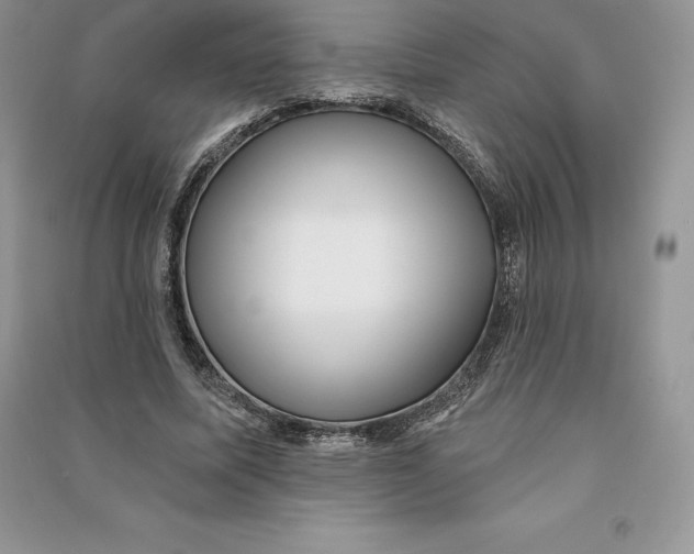 X0000090610587200708141353