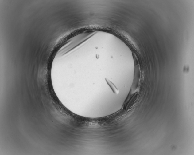 X0000090610588200708141353