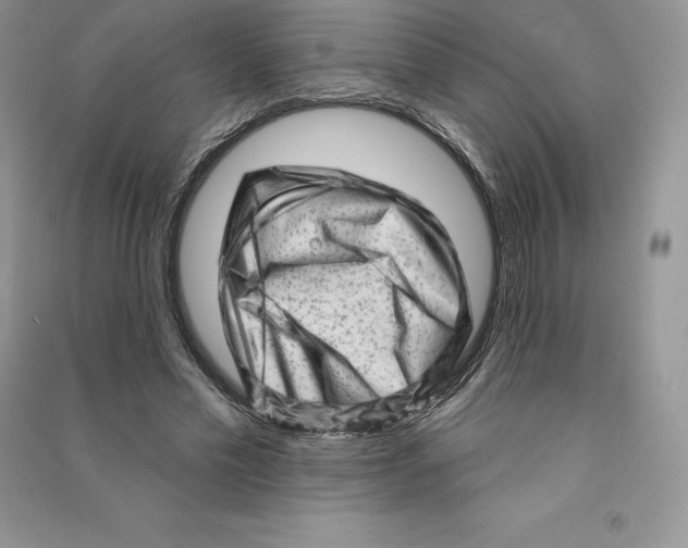 X0000090610589200708141353