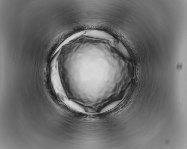 X0000090610590200708141353