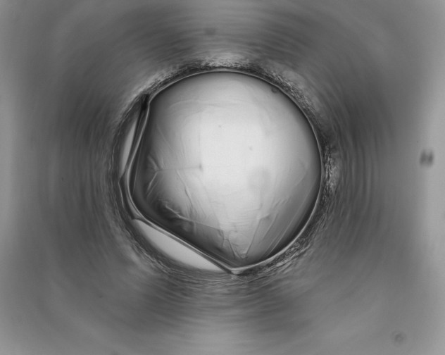 X0000090610591200708141353